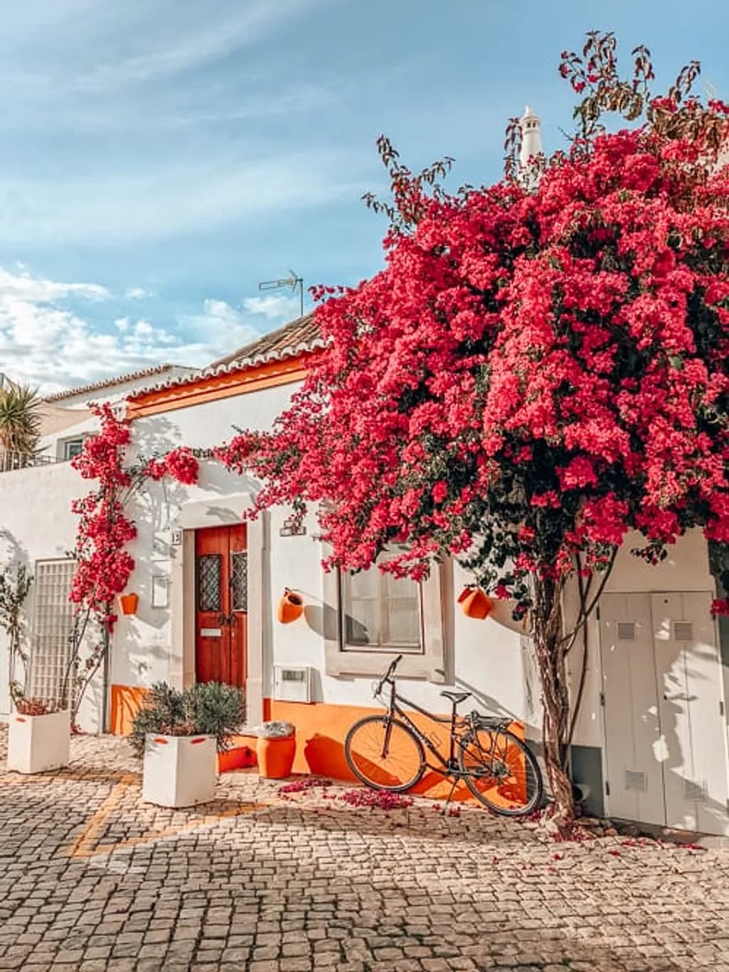 Bougainvillea Alley