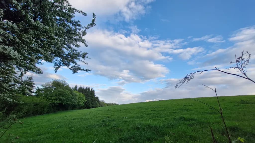 Rolling Green Expanse