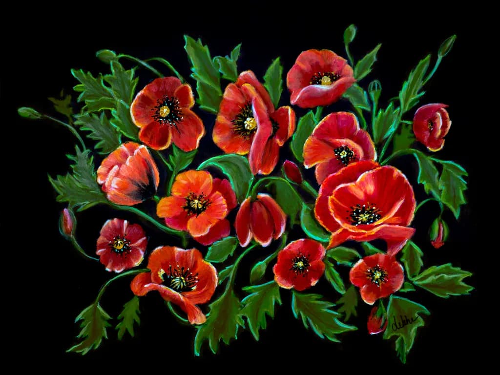 Poppies Burst