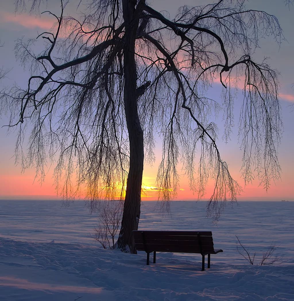 February Stillness