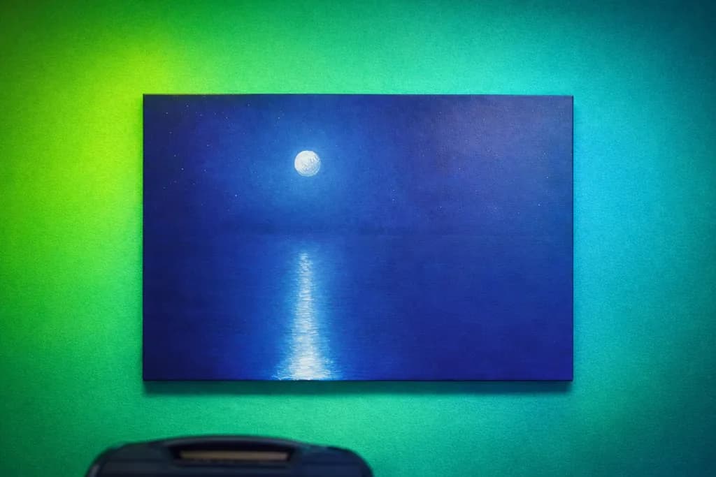 Moonlit Reflection