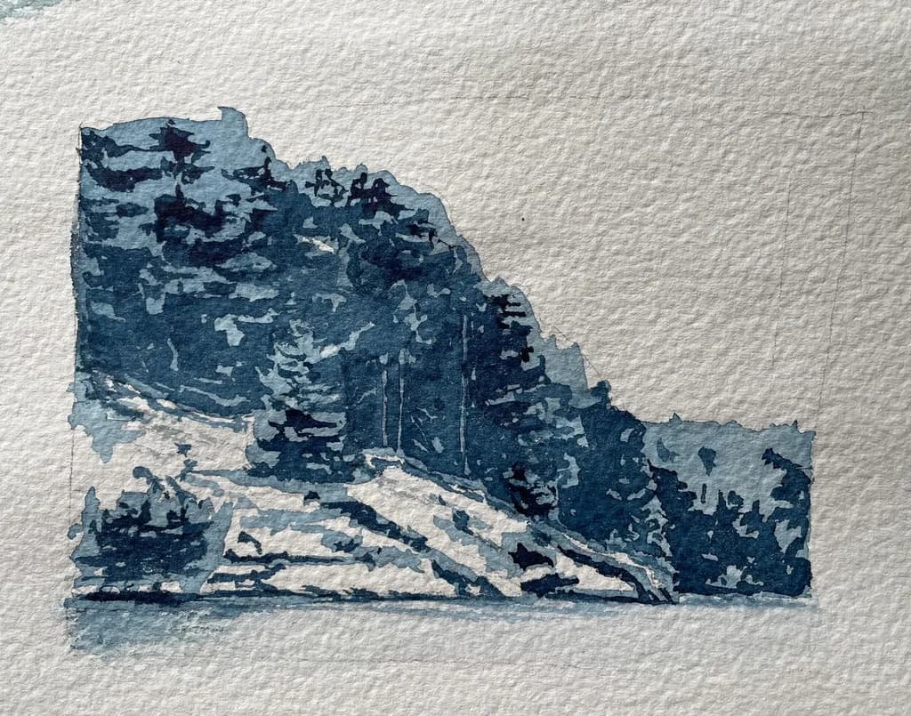 Forest Cliff Study