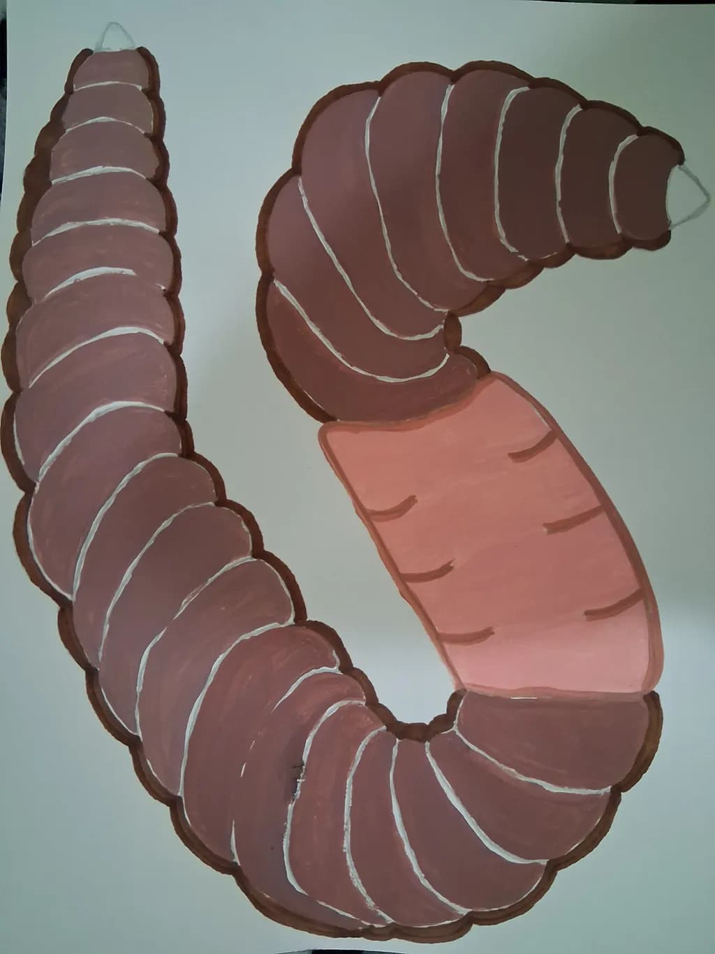 Segmented Serpent