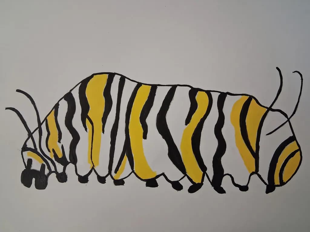 Striped Caterpillar