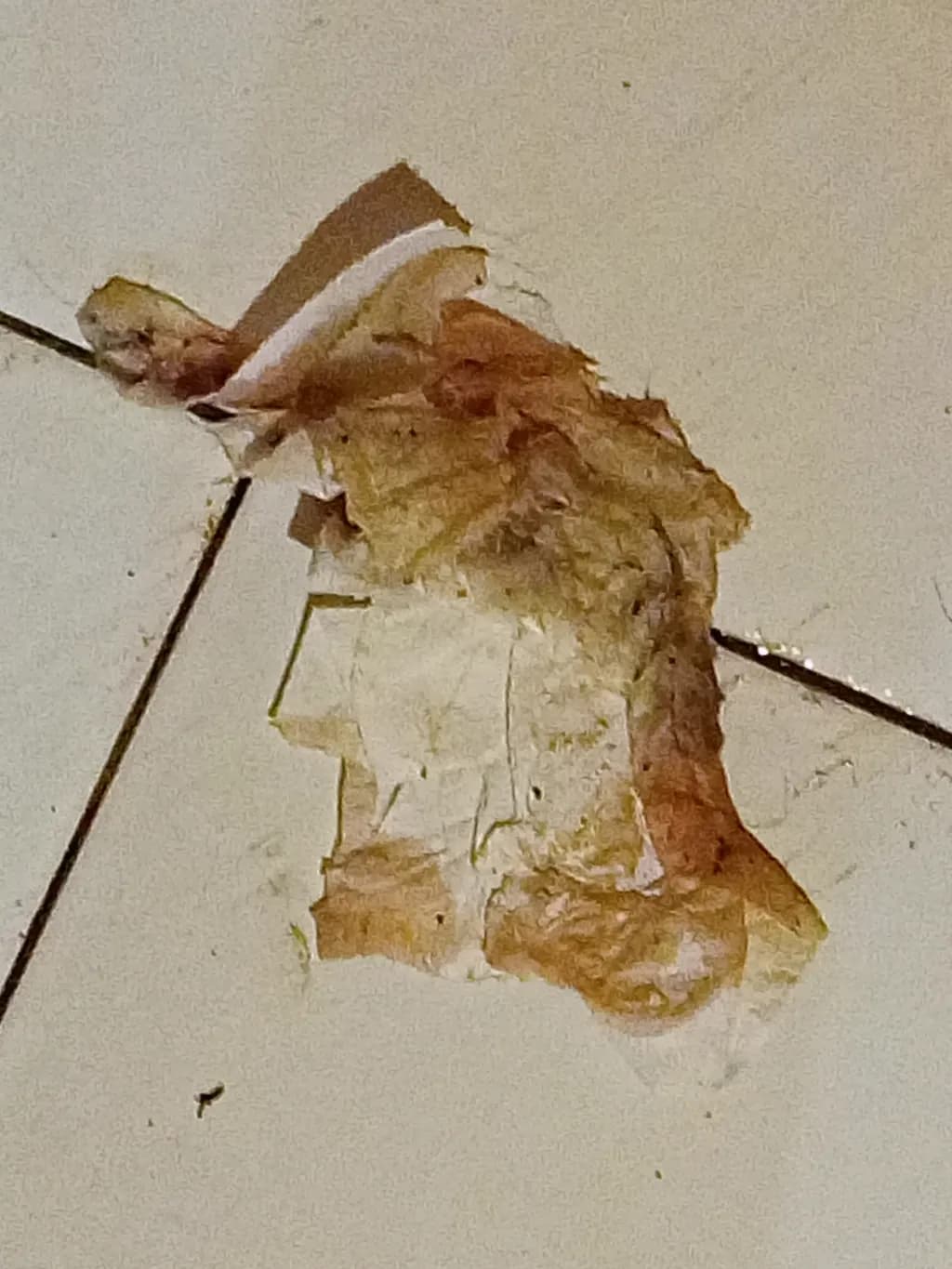 Peeling Layers