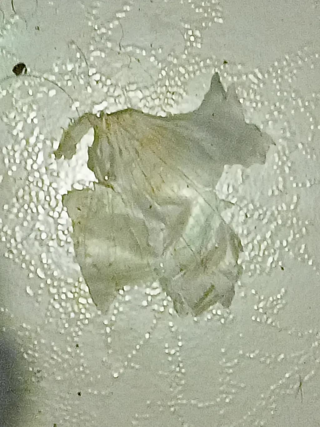 Faded Petal Mosaic