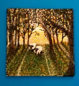 Ewe Are My Sunshine