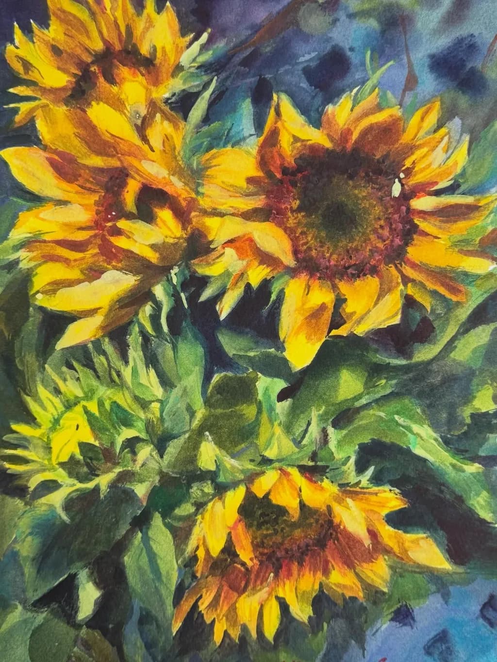 Sunflower Burst