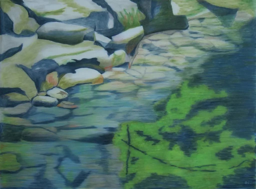 Dipper by the Rocks