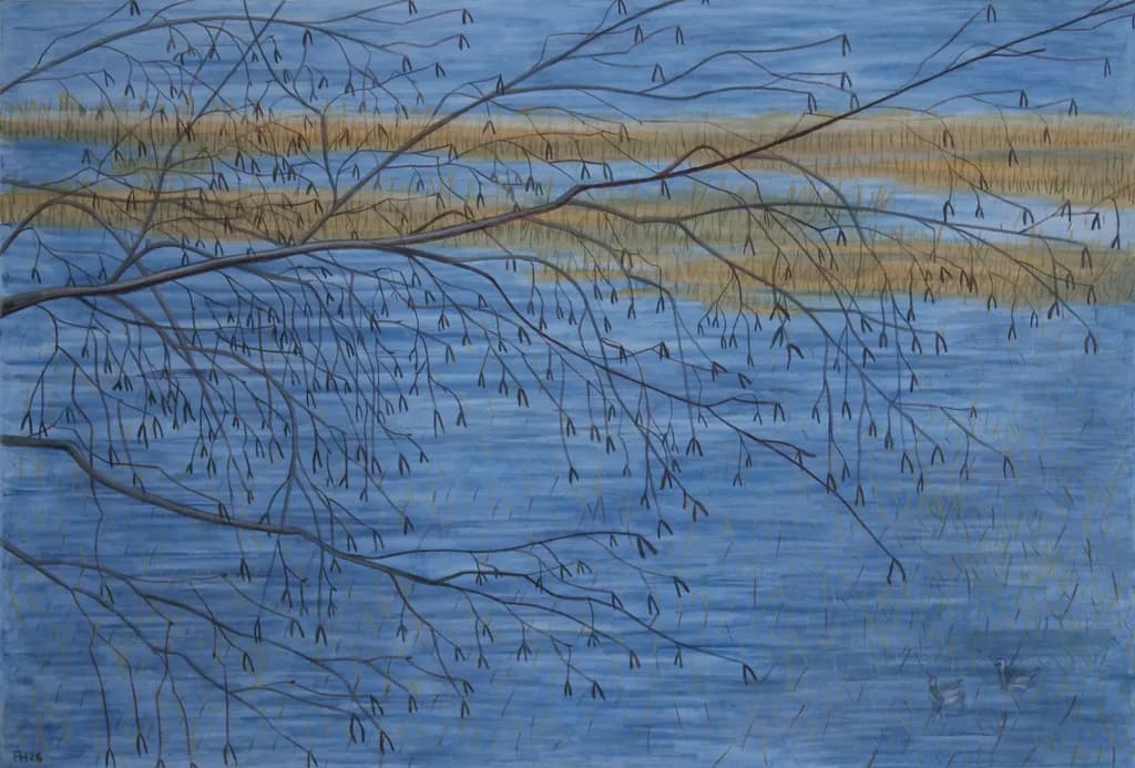 Finland Winter Branches