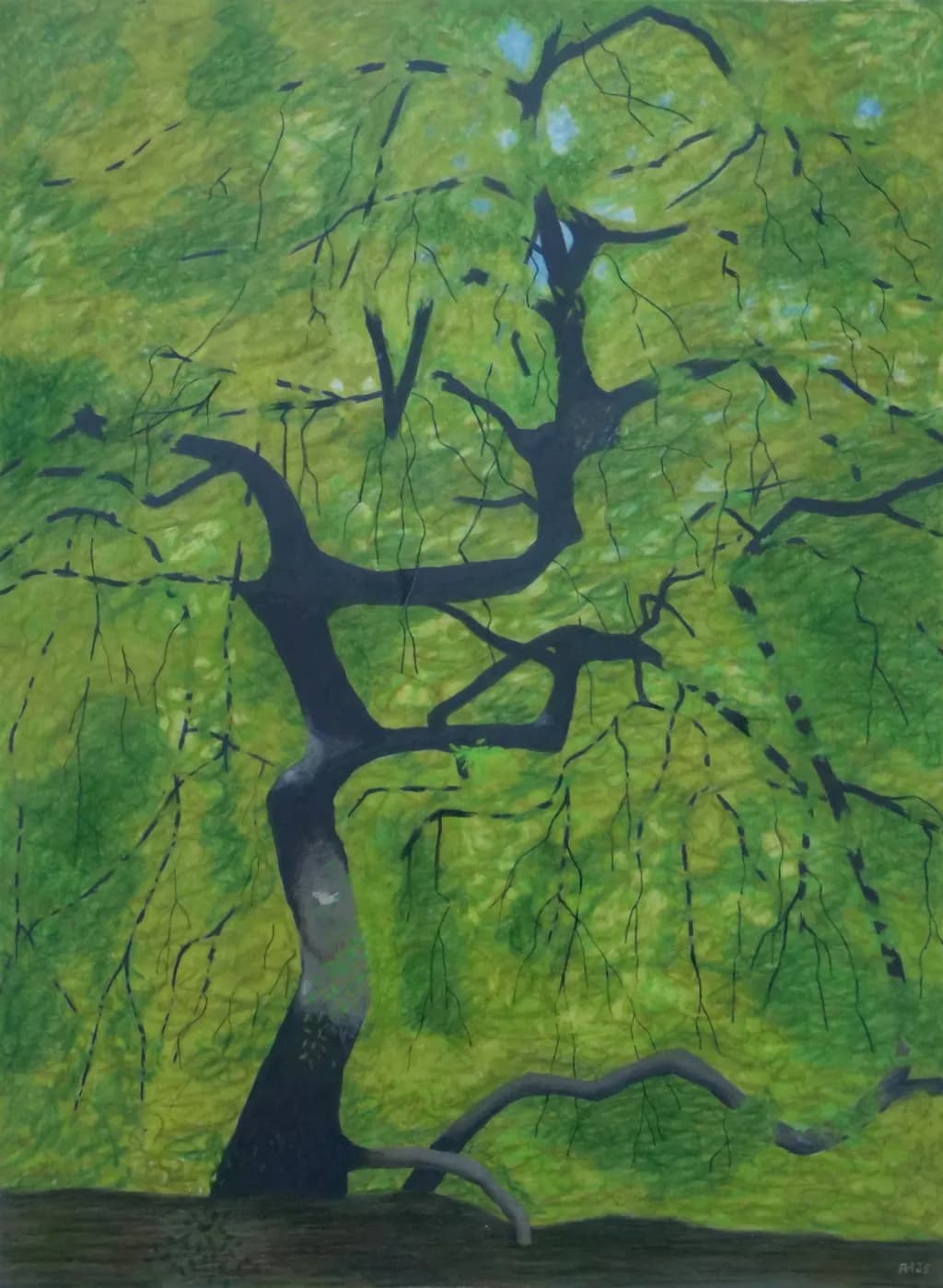 Verzy Branches
