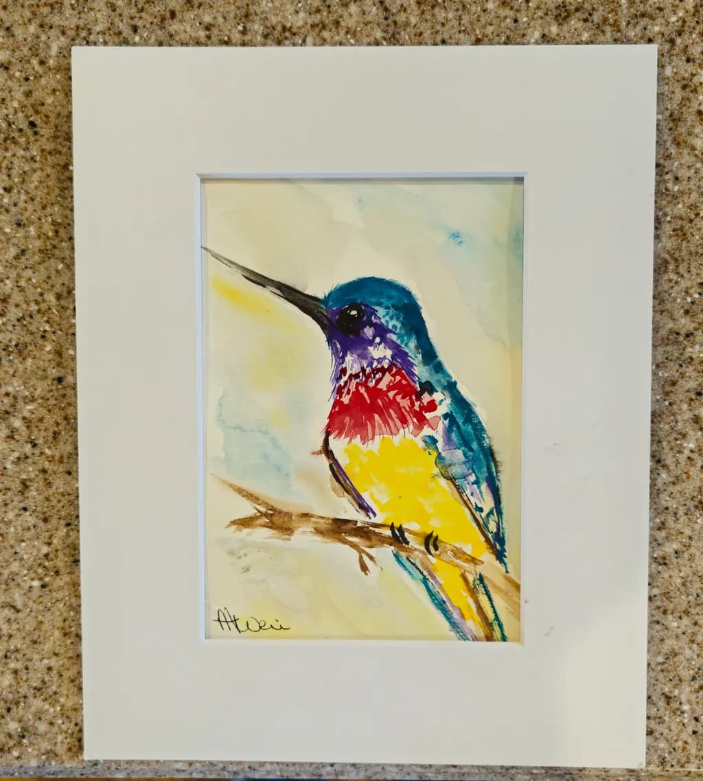 Colorburst Hummingbird
