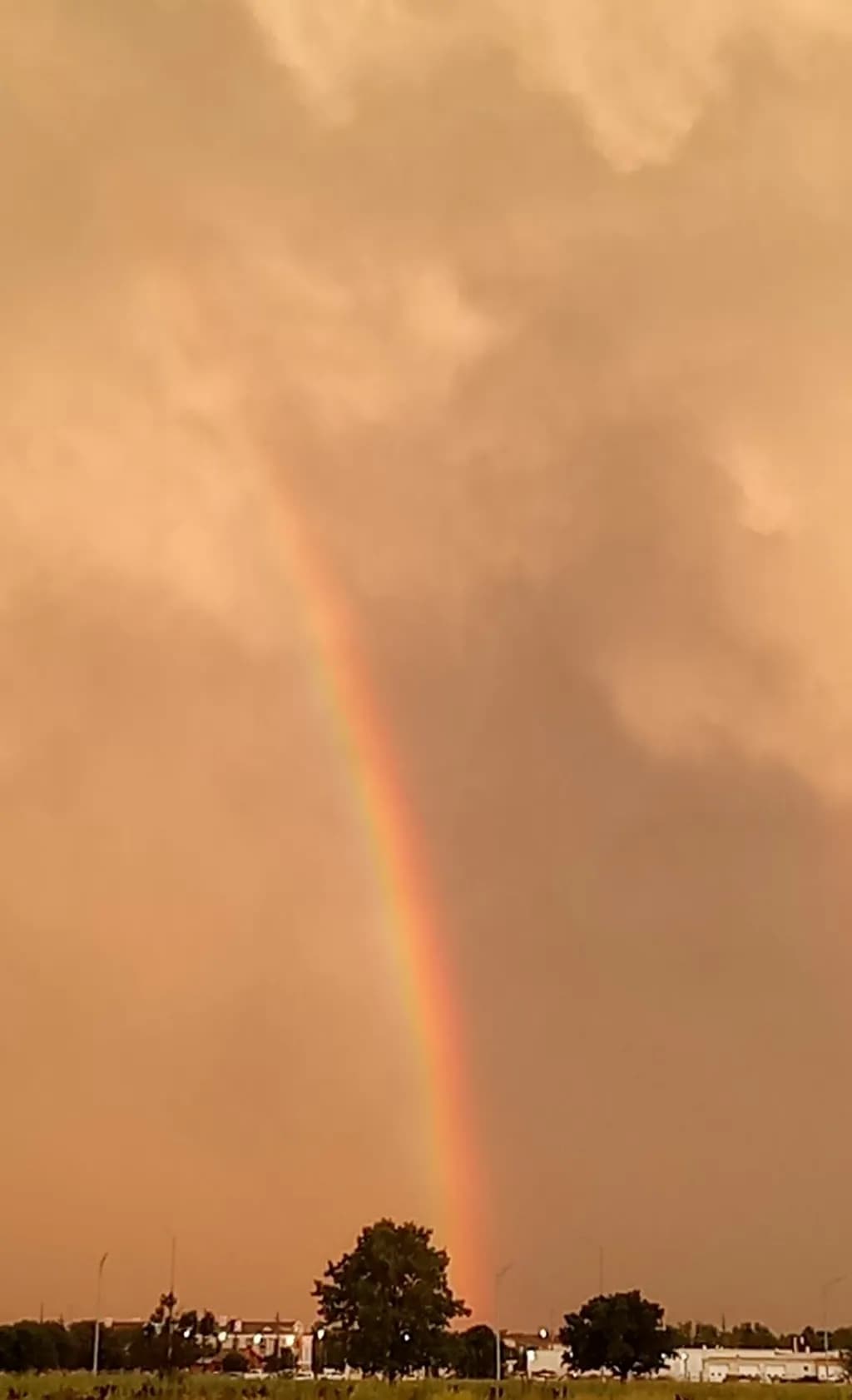 Rainbow Over the Skyline