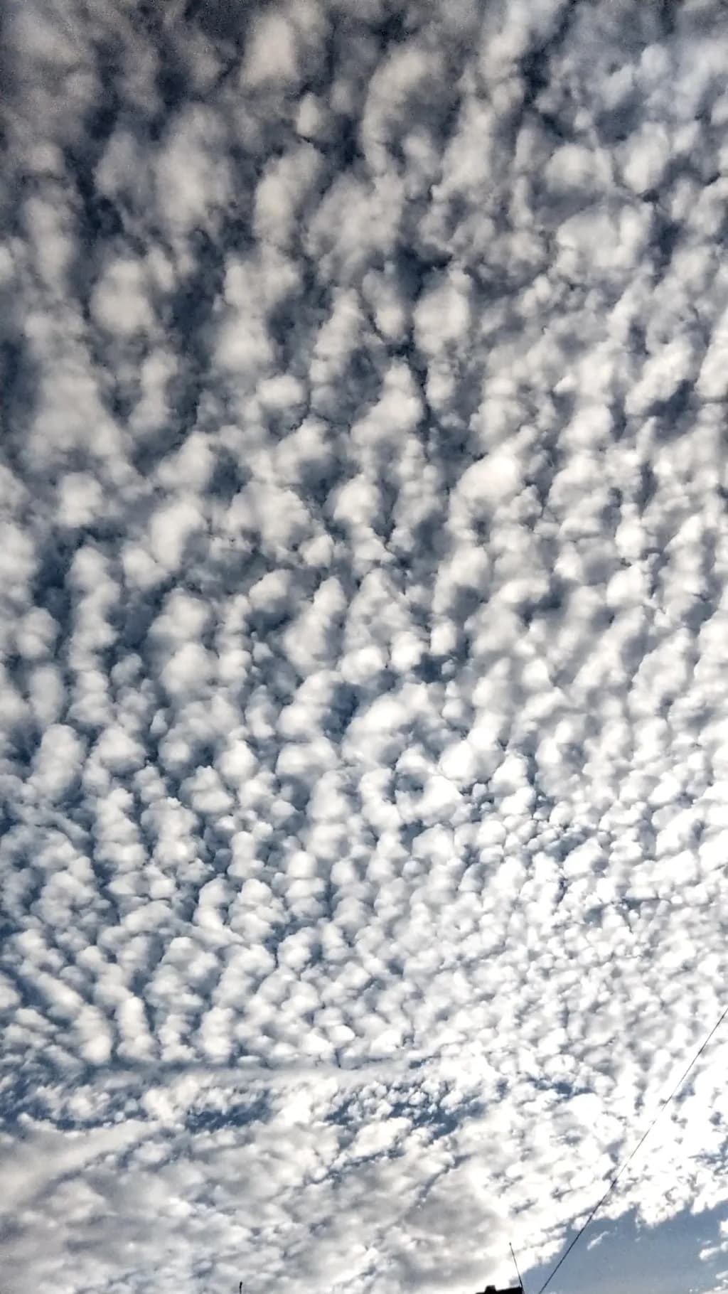 Cloudfield in Blue-Gray