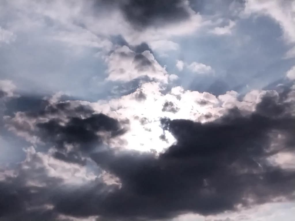 Veiled Radiance
