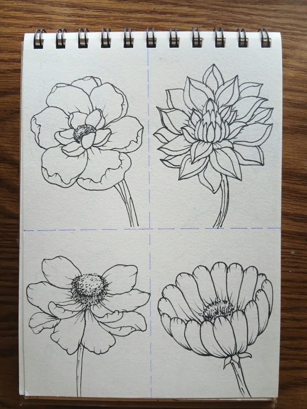 Floral Studies Collection