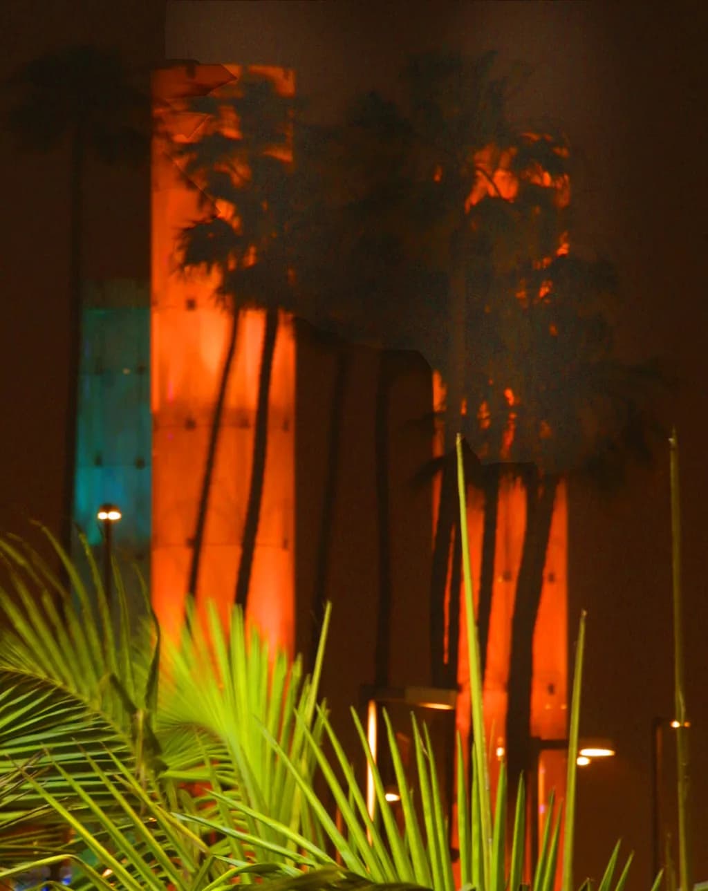 Towers and Palms