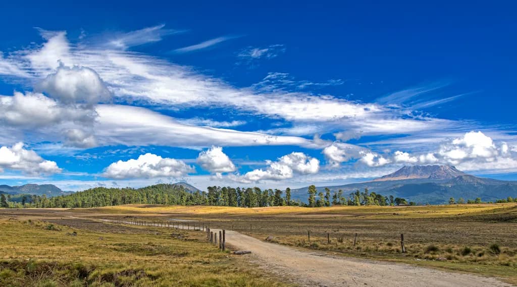 Dirty Road Landscape