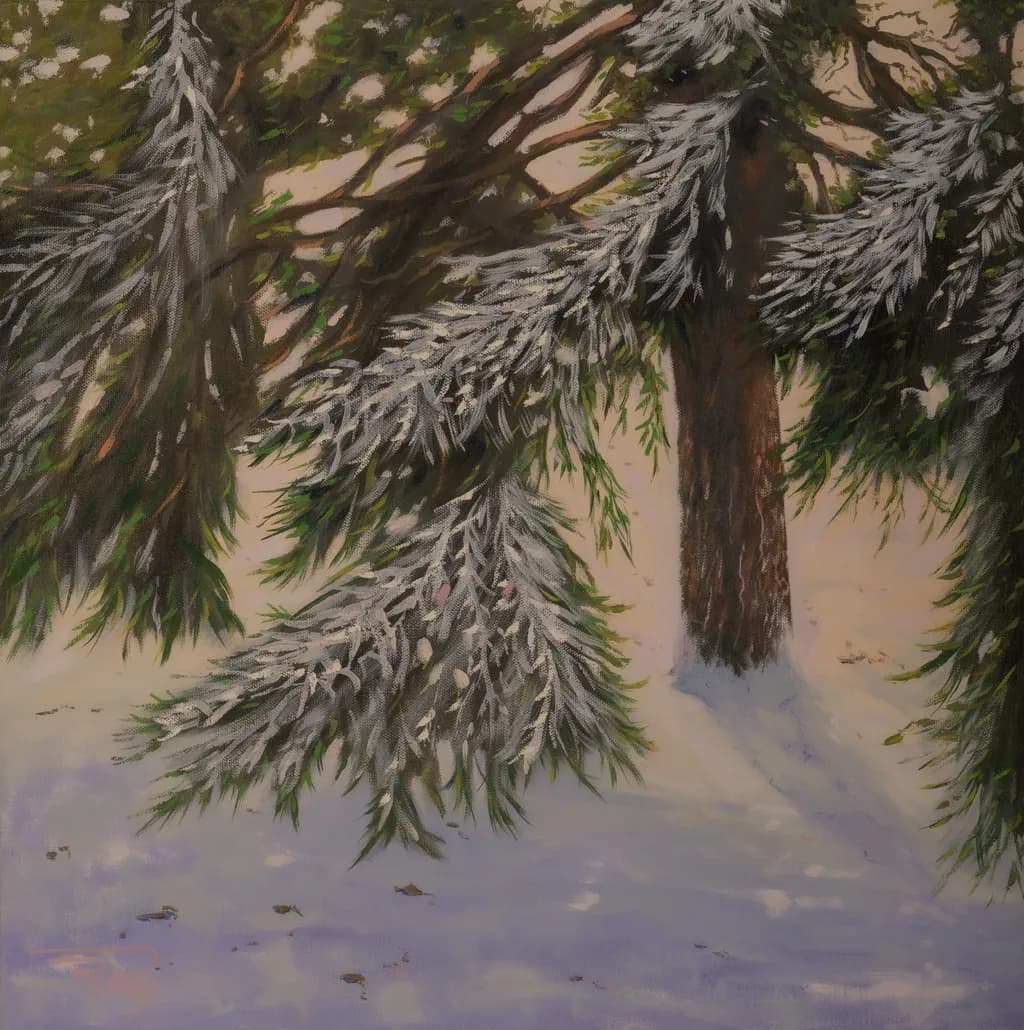 Frosted Pine Branch