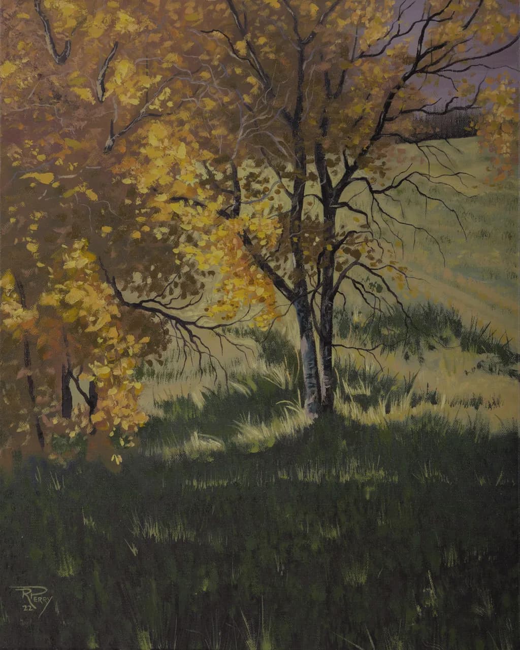 Golden Autumn Tree