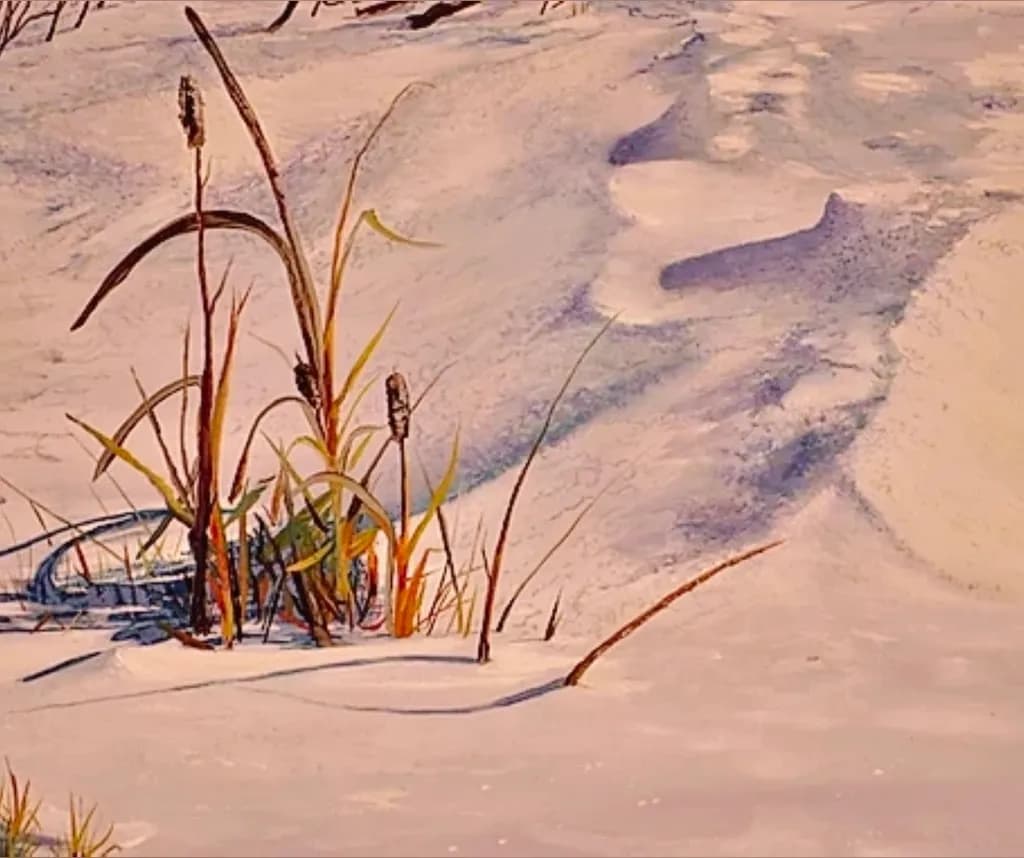 Winter Thaw Shadows