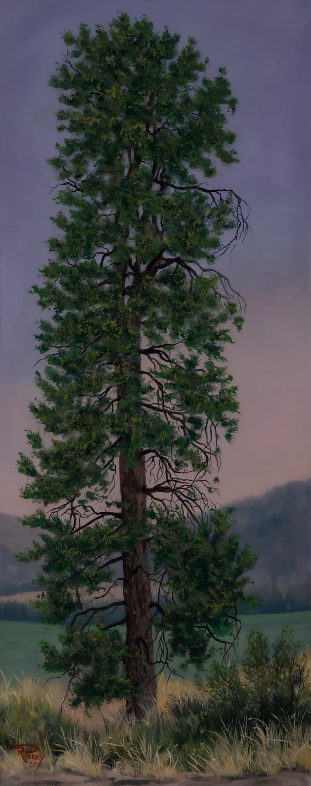 Lone Sentinel