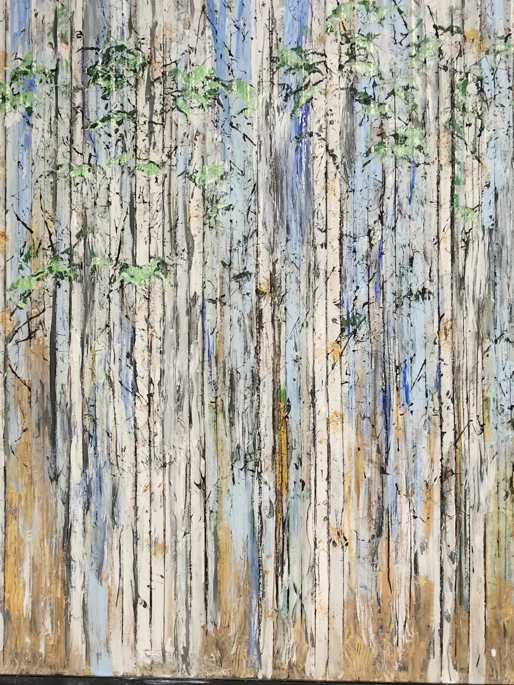Birch Echoes
