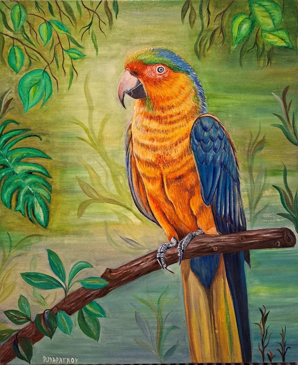 Tropical Perch
