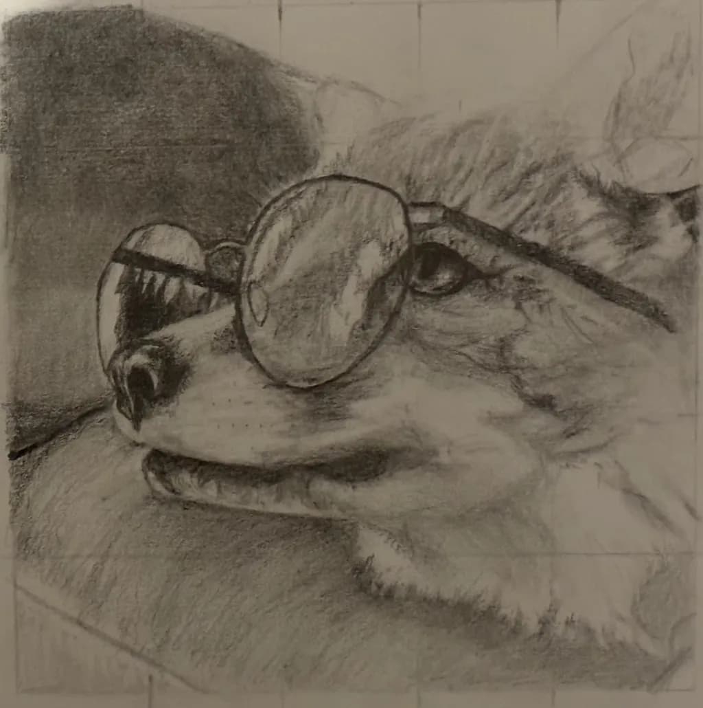 Cool Canine Perspective