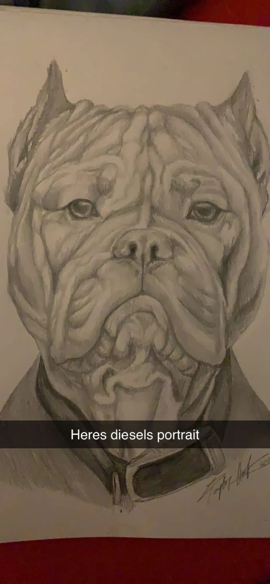 Diesel's Gaze