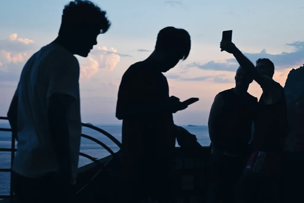 Evening Silhouettes