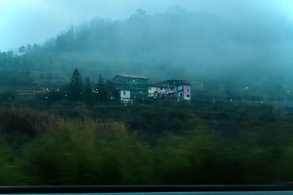 Misty Hillside Refuge
