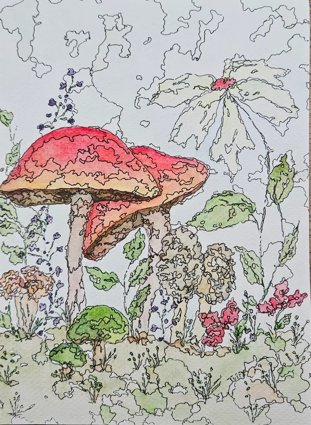 Mushroom Garden