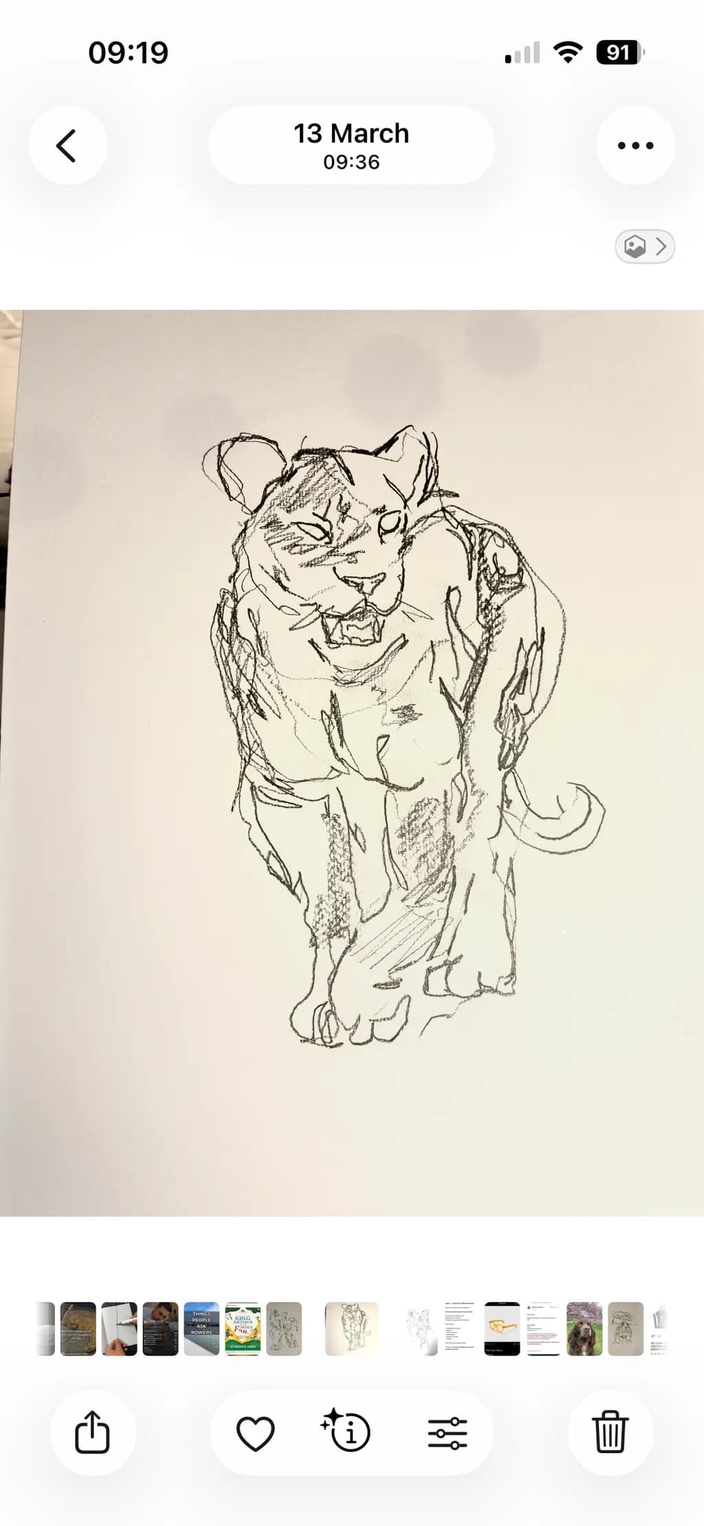 Leopard Outline