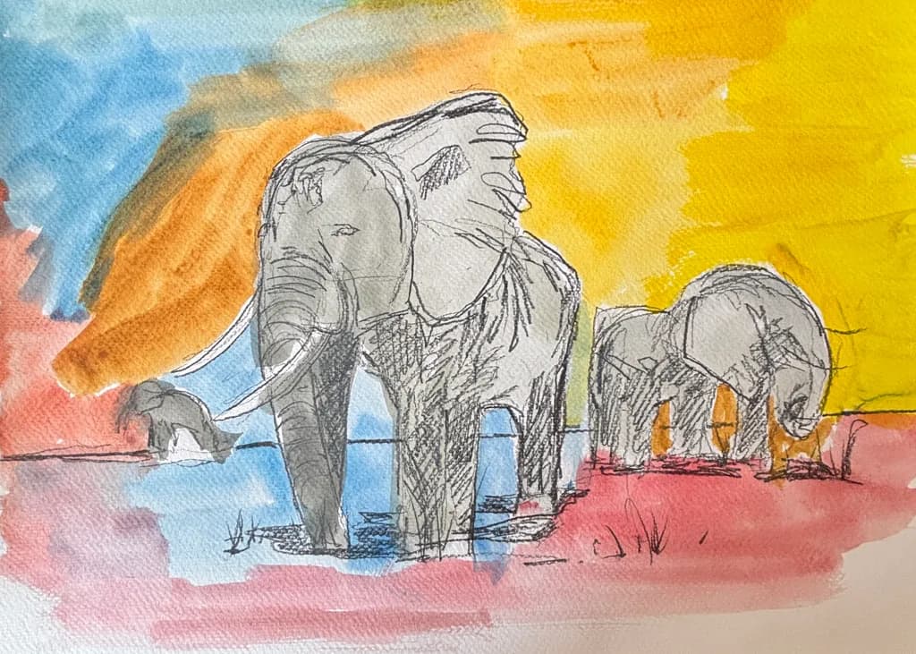 Elephant Stroll