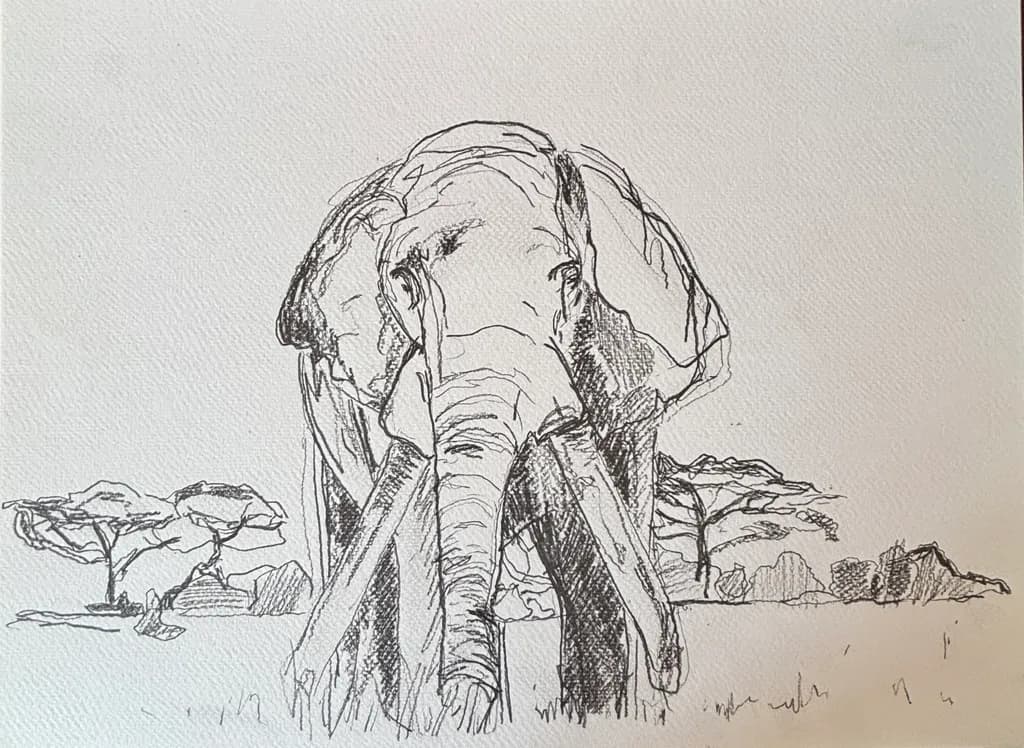 Savannah Giant