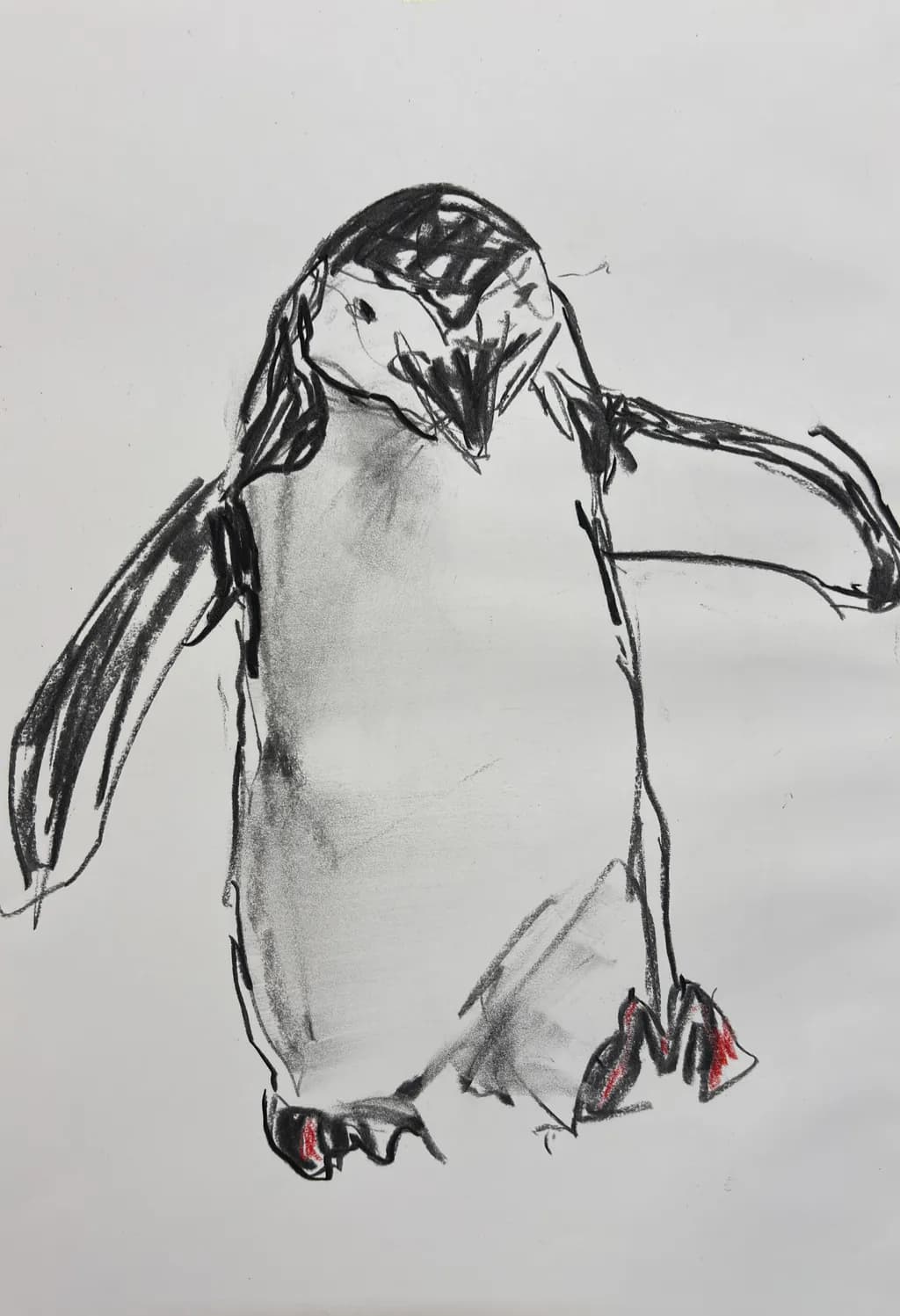 Sketch of a Penguin
