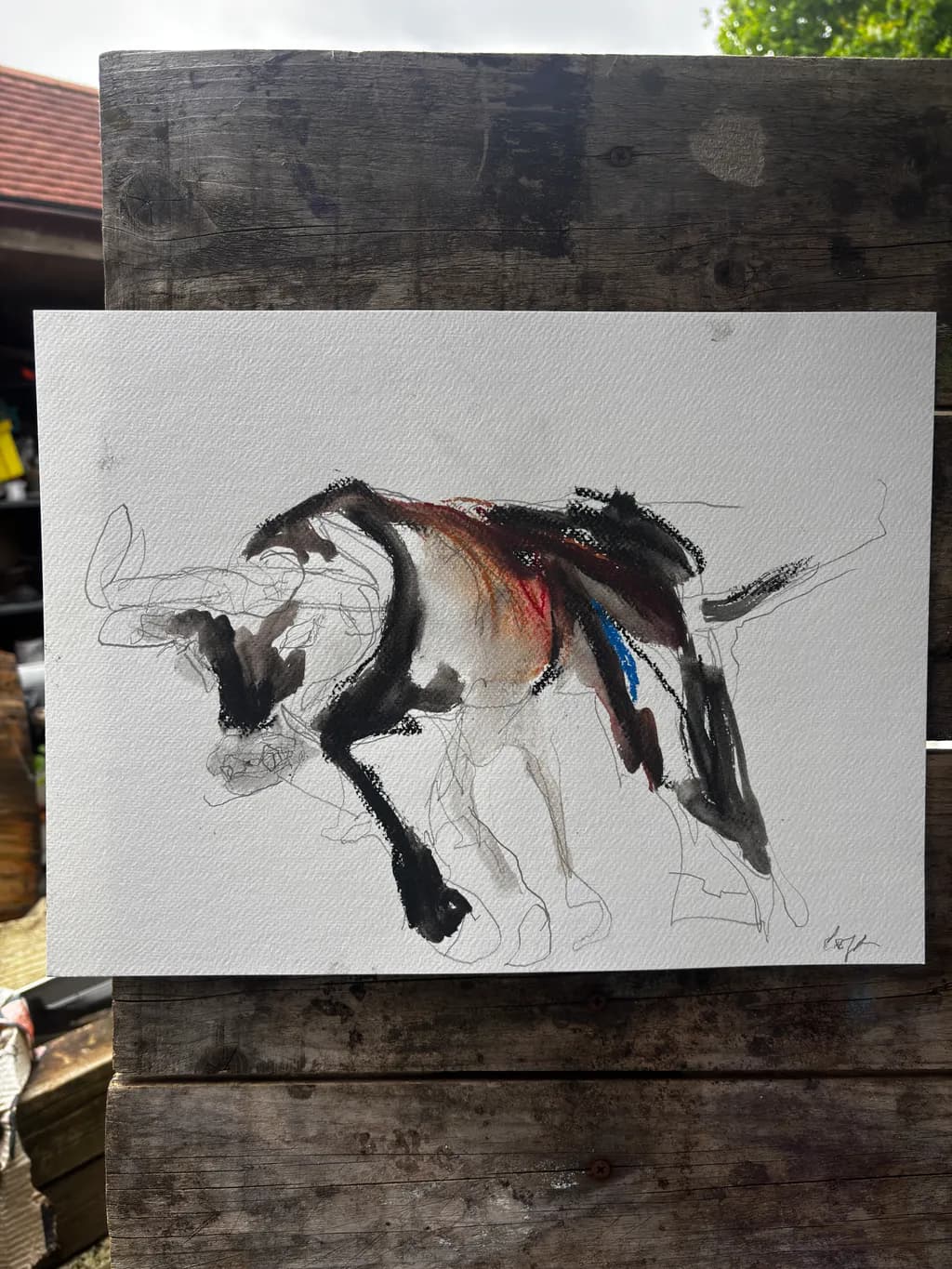Abstract Equine Motion