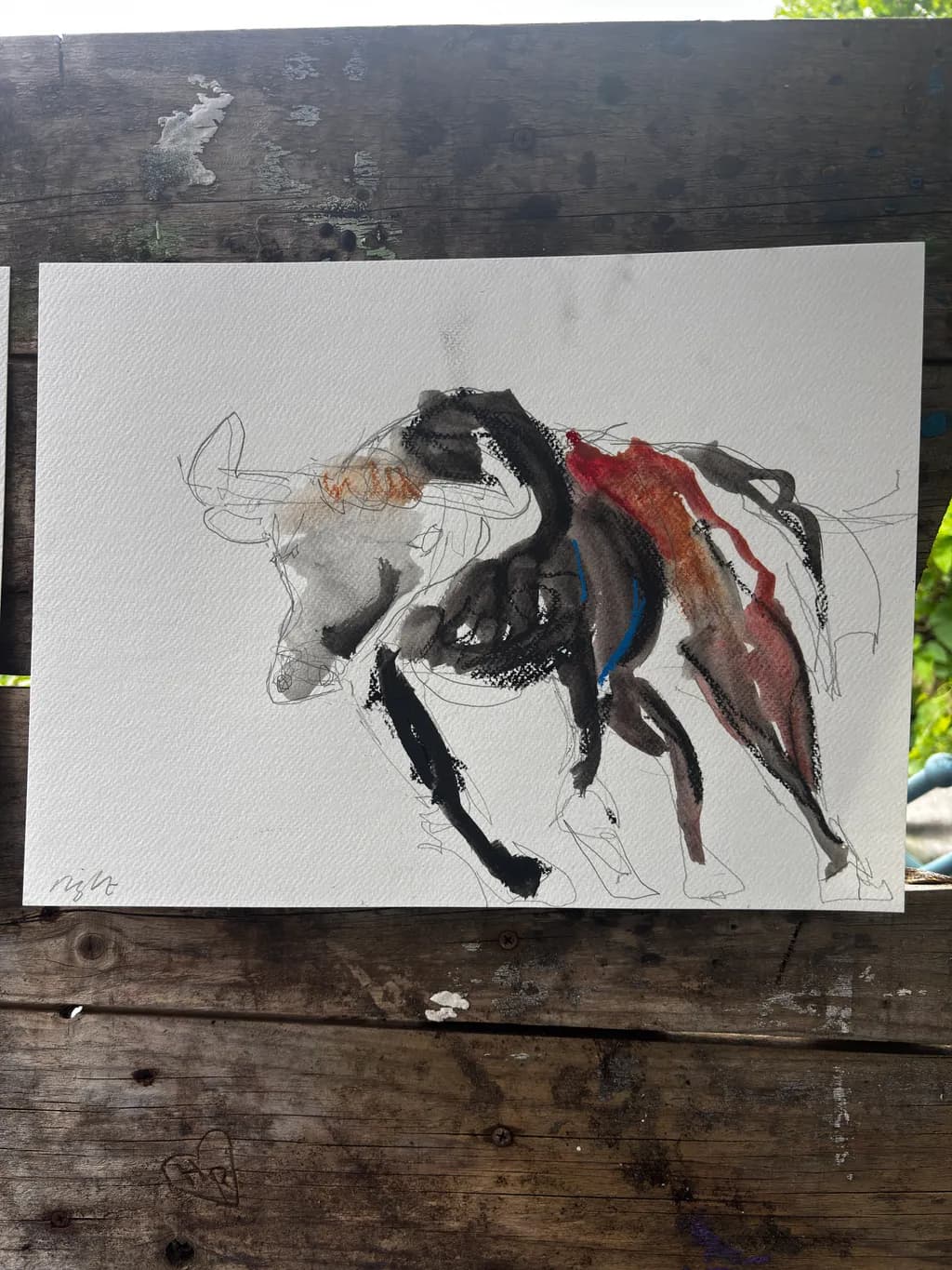 Abstract Bull Motion