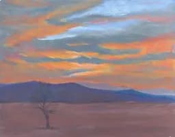 Kenzie's Sunset