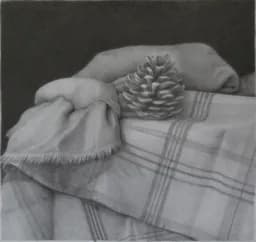 Pine Cone and Shawl