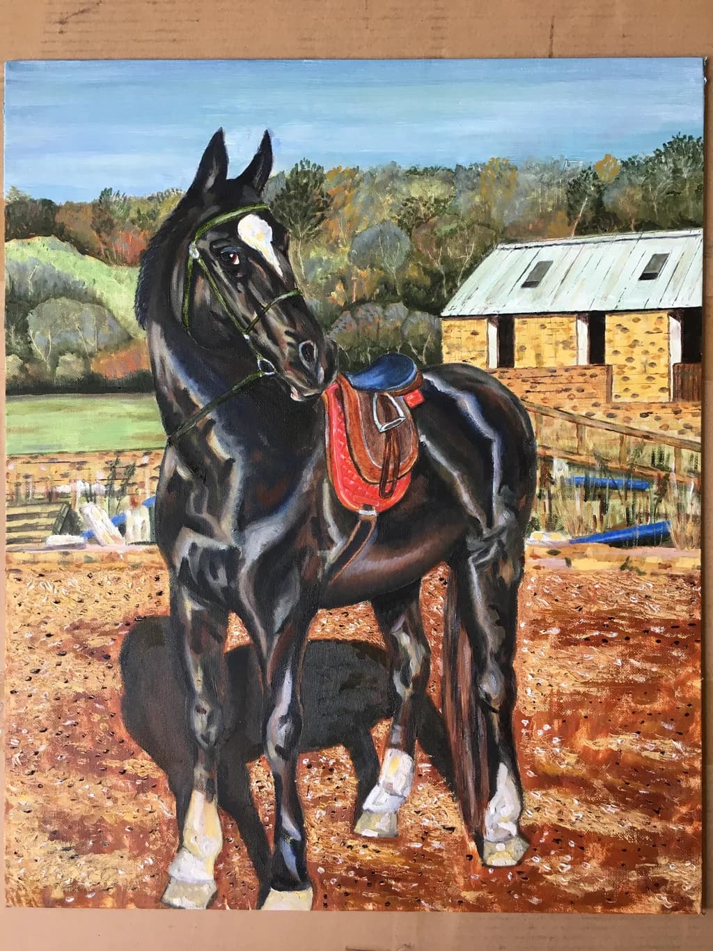 Black Stallion with Saddle