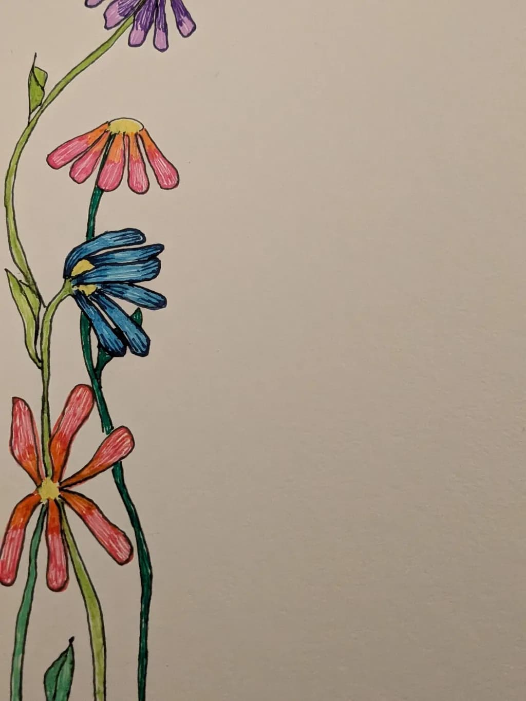 Colorful Blooms