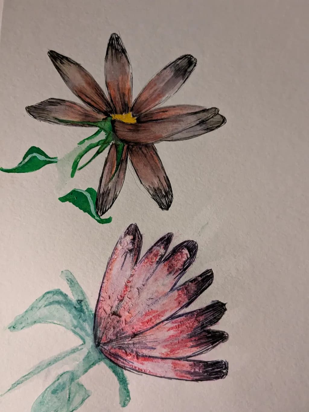 Faded Blooms