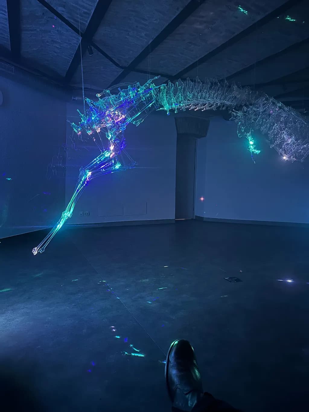 Luminescent Motion
