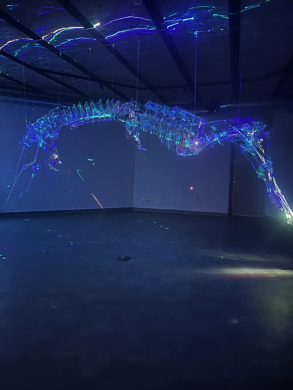 Neon Equine Skeleton