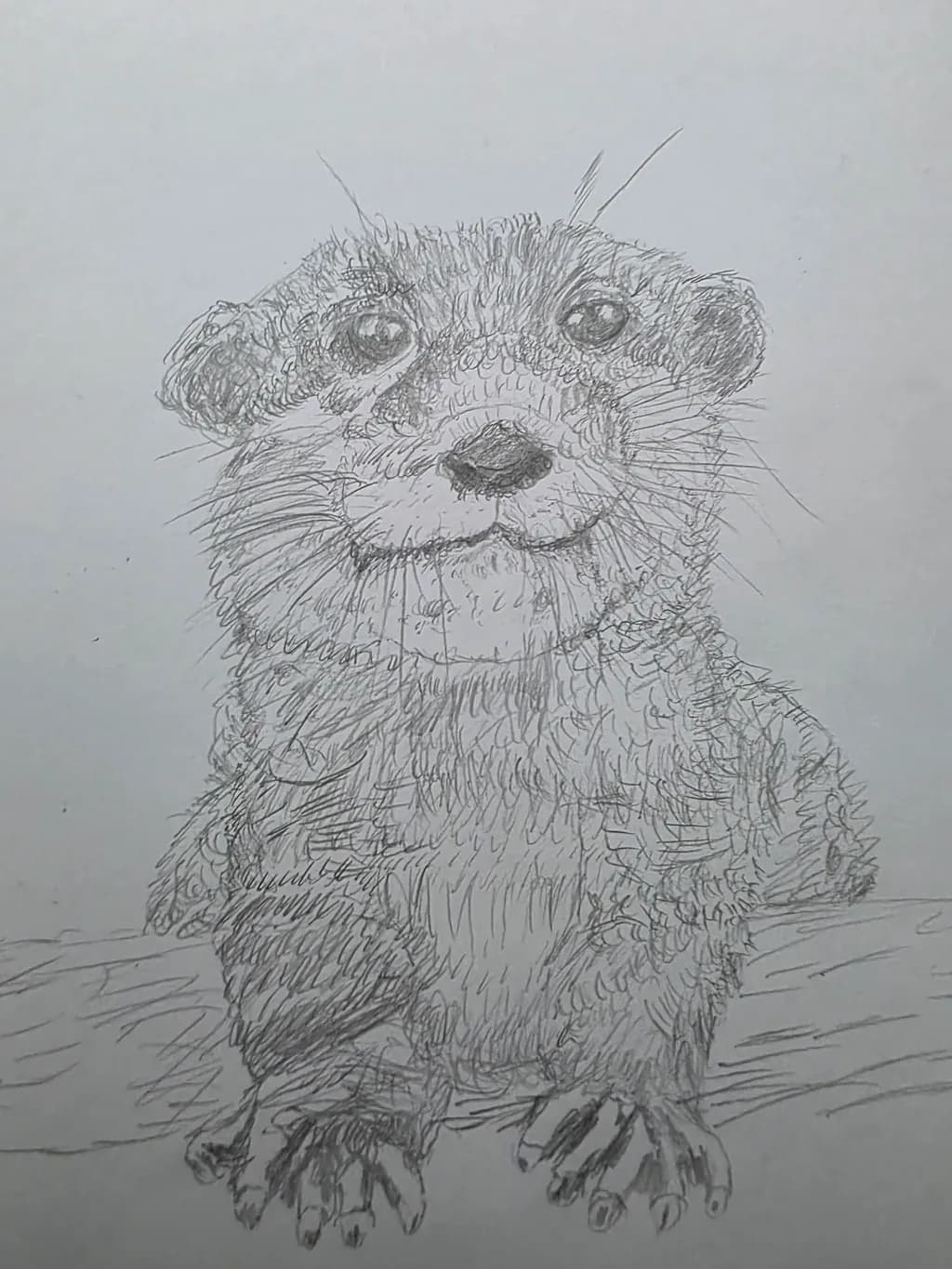 Curious Otter