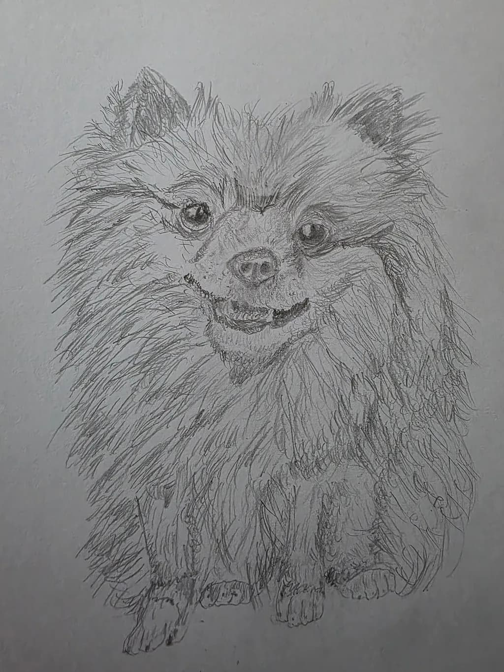 Fluffy Gaze