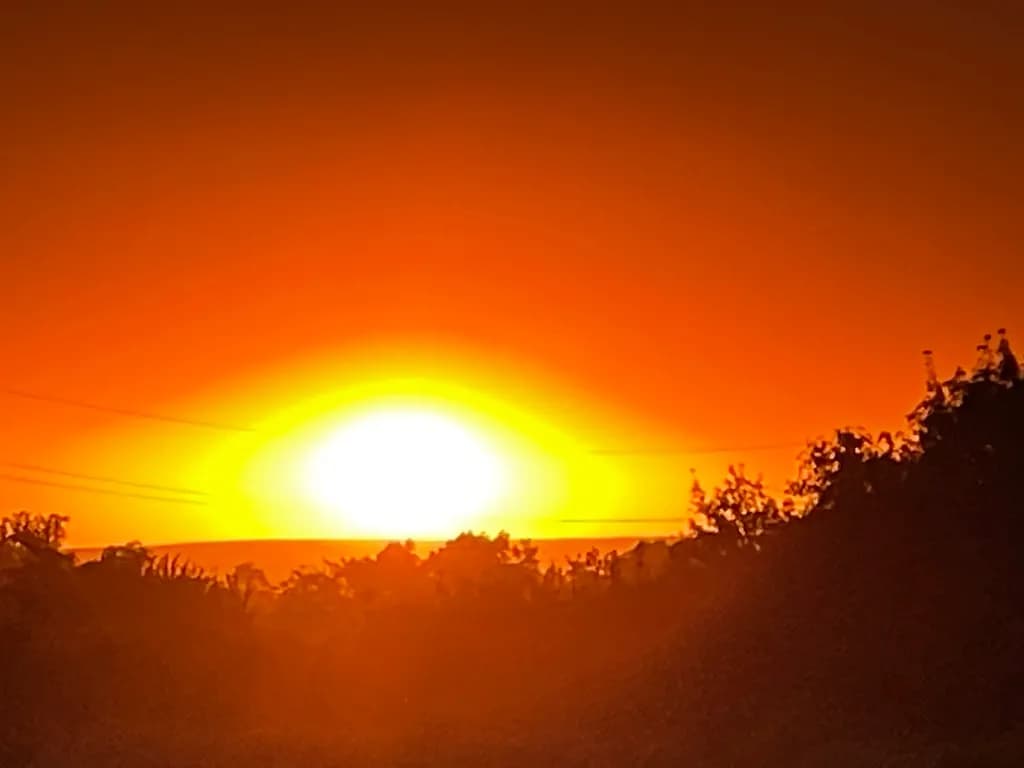 Sunset Silhouette