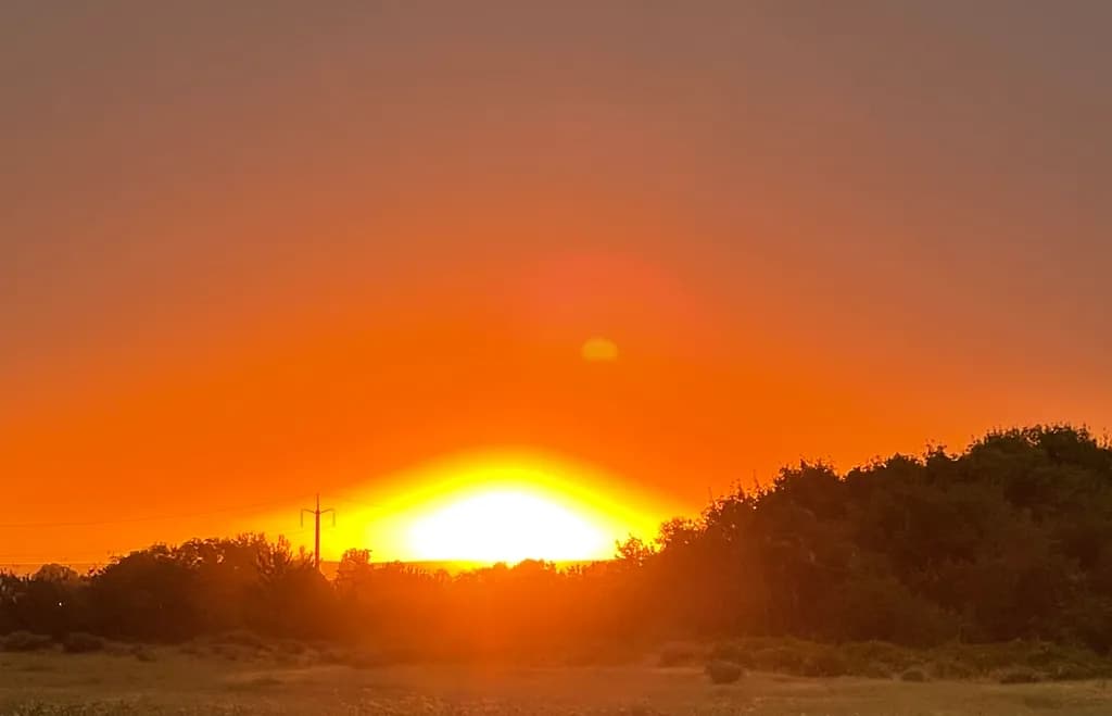 Sunset Silhouettes